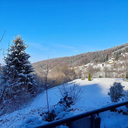 Апартаменты Schwarzwald Pur Засбахвальден Экстерьер фото