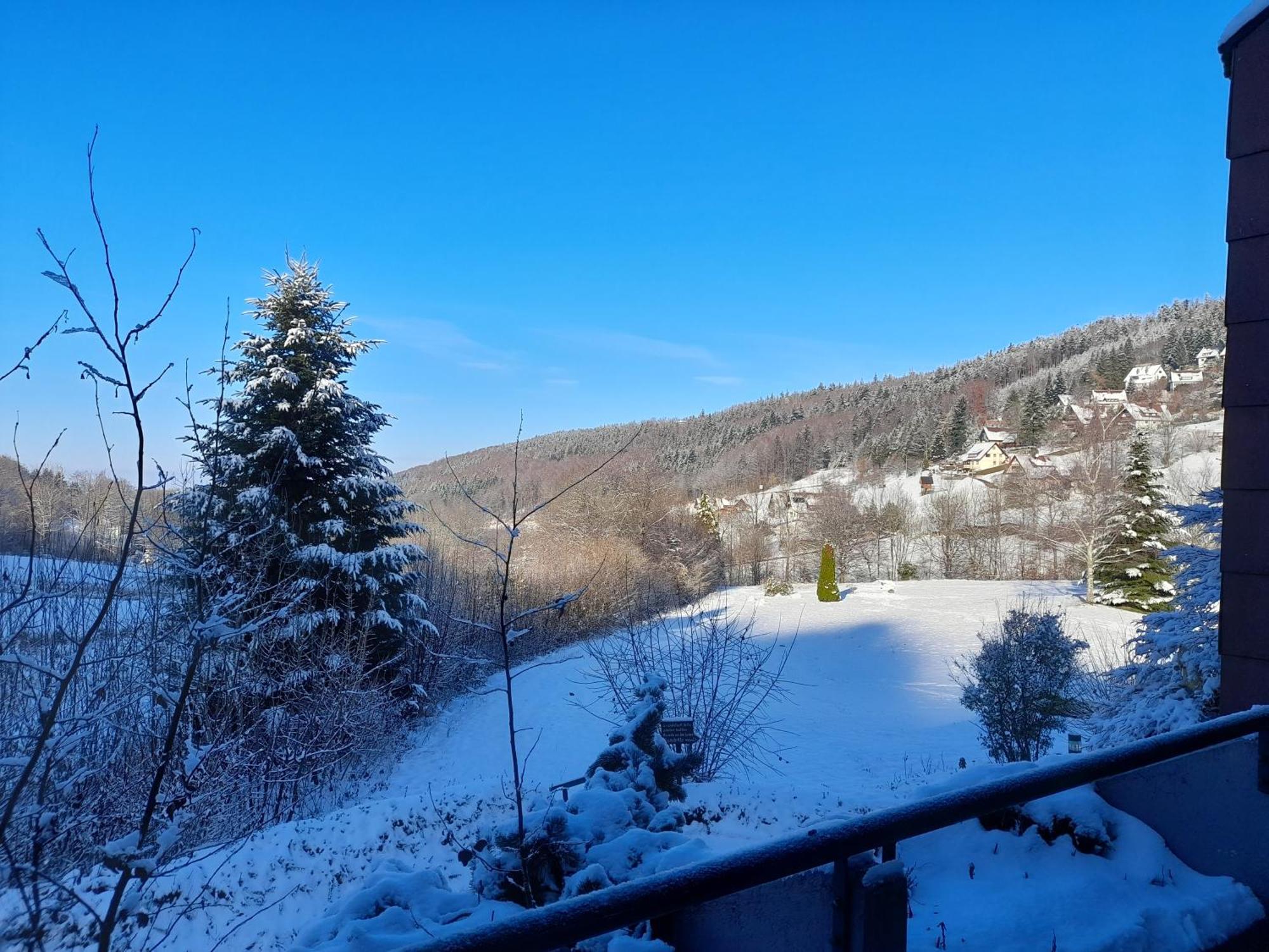 Апартаменты Schwarzwald Pur Засбахвальден Экстерьер фото