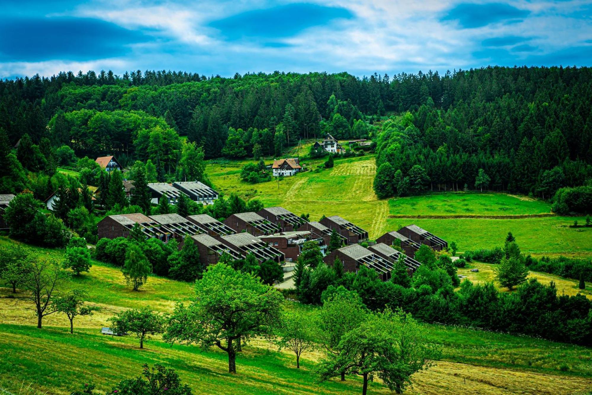 Апартаменты Schwarzwald Pur Засбахвальден Экстерьер фото