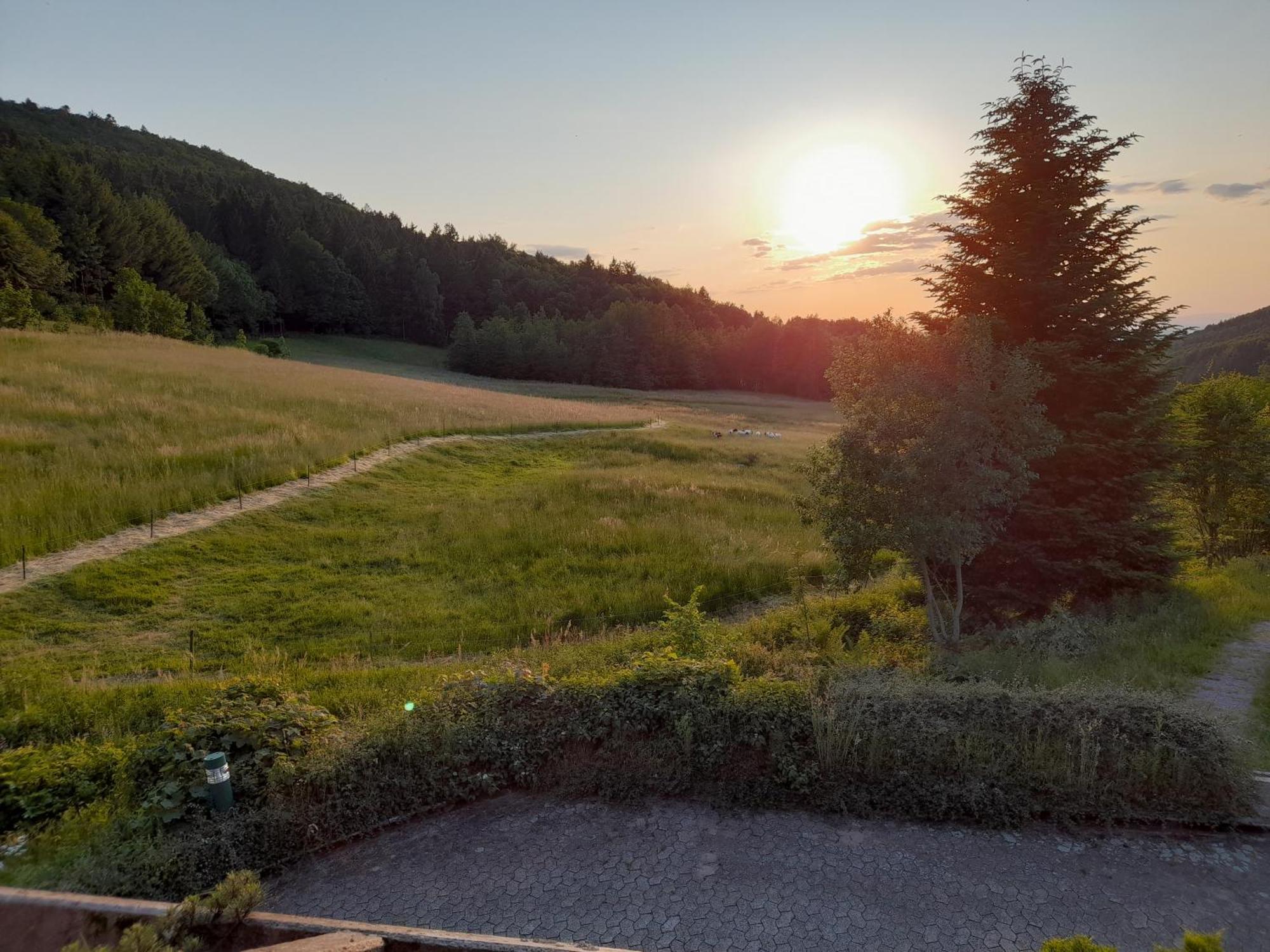Апартаменты Schwarzwald Pur Засбахвальден Экстерьер фото